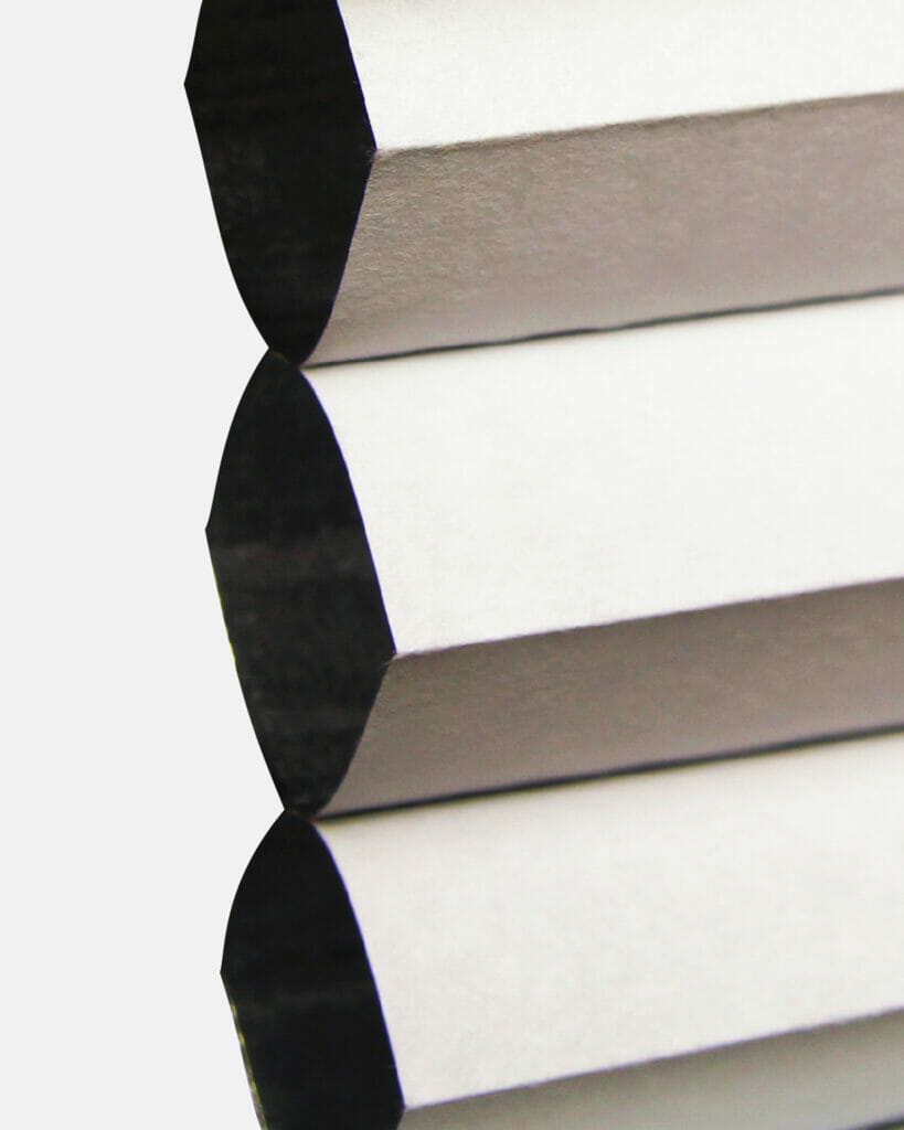 FR D16-951 Star Magnolia BO