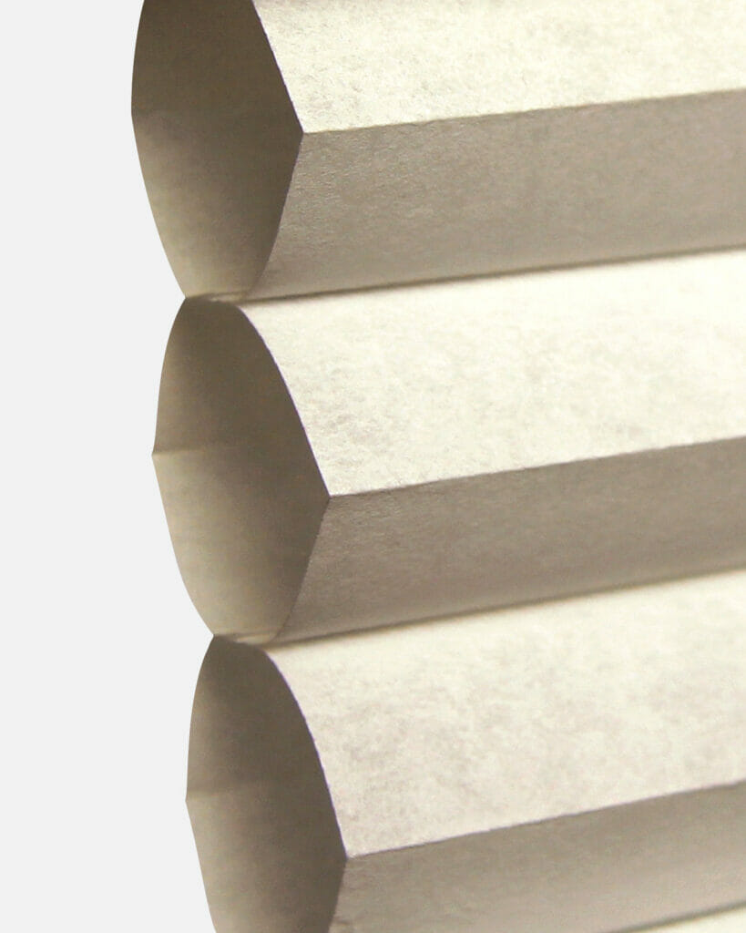 FR D20-951 Star Magnolia TR