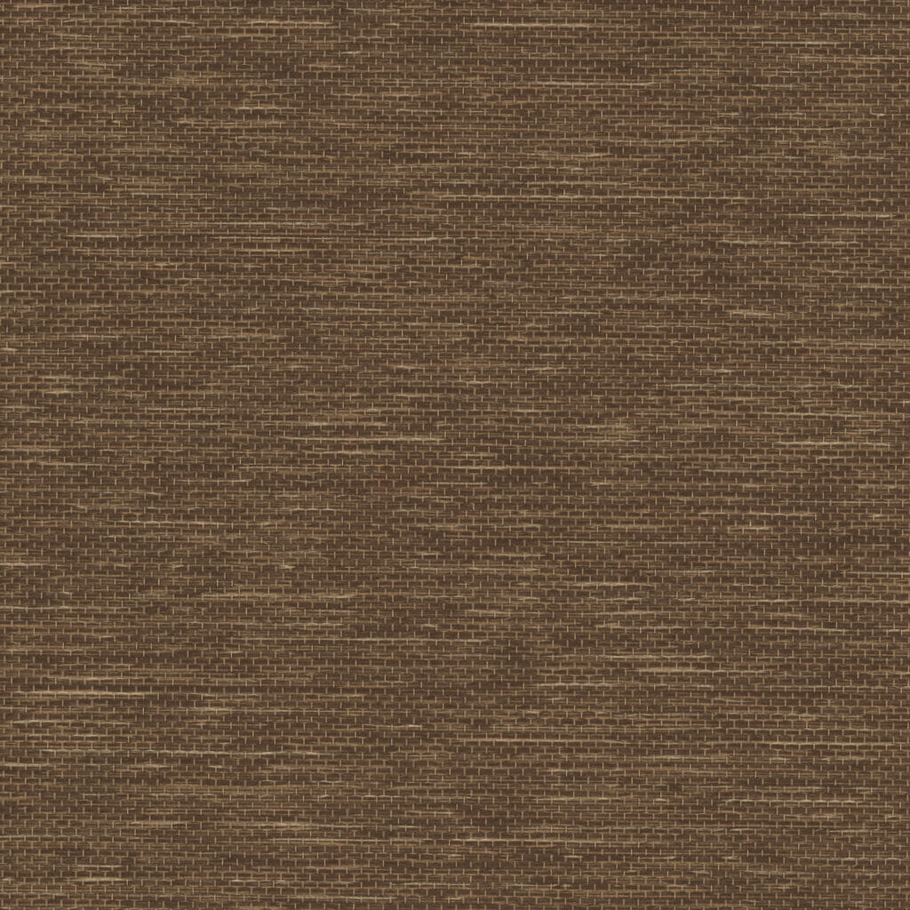 Kiana | Bark 200824 Kiana | Bark 200824