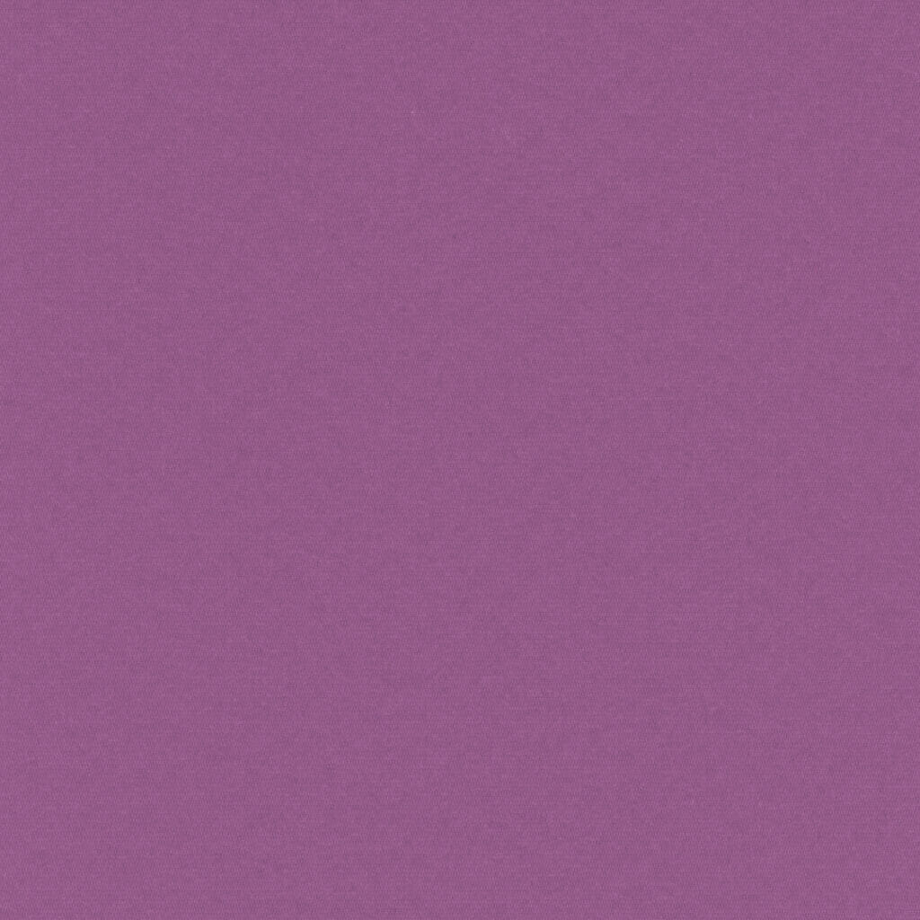 Palette XL | Iris RE0077XL Palette XL | Iris RE0077XL