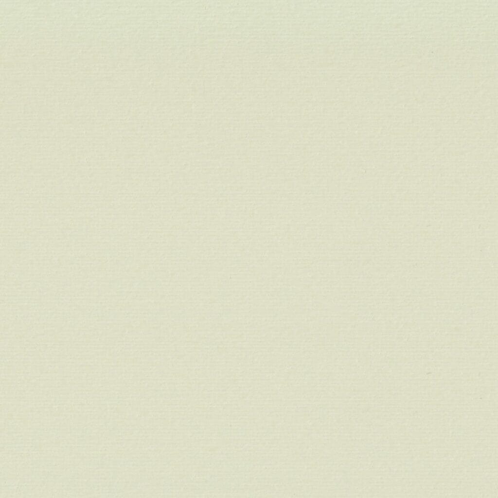 W421 Almost White W421 Almost White